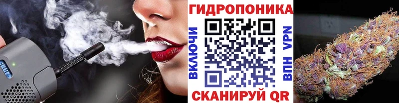 Где купить наркоту Грозный Экстази  Псилоцибиновые грибы  Cocaine  Альфа ПВП 