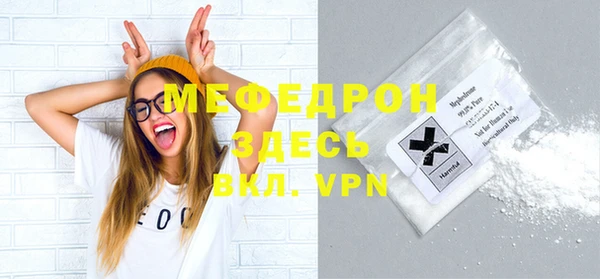 индика Бронницы