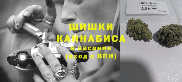 индика Бронницы