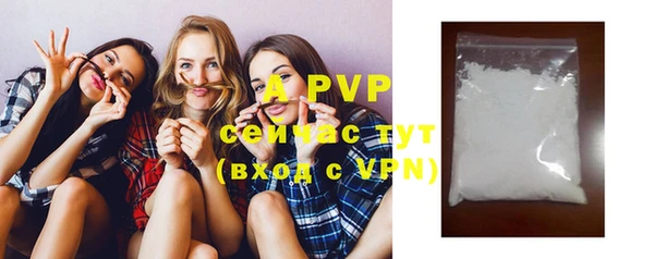 индика Бронницы