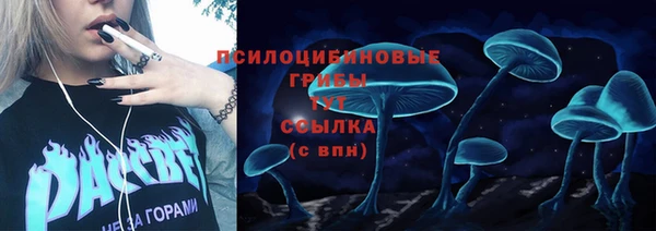 индика Бронницы
