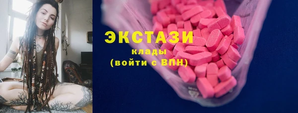 индика Бронницы