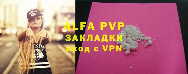 индика Бронницы