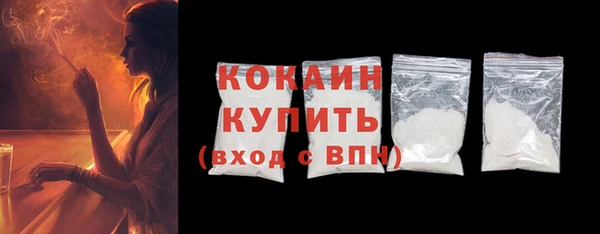 индика Бронницы
