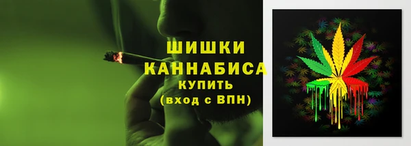 дживик Бугульма