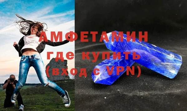 индика Бронницы