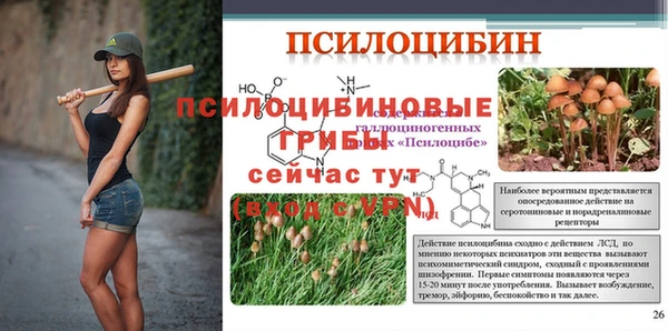 индика Бронницы