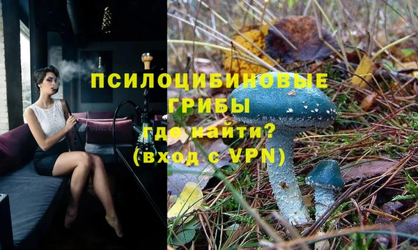 дживик Бугульма
