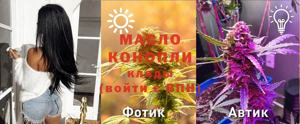 индика Бронницы