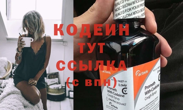 индика Бронницы