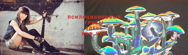 дживик Бугульма