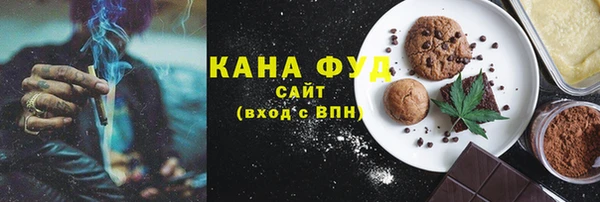 индика Бронницы