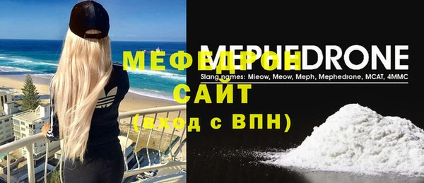 индика Бронницы