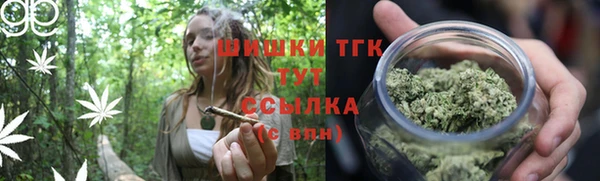 альфа пвп Бородино