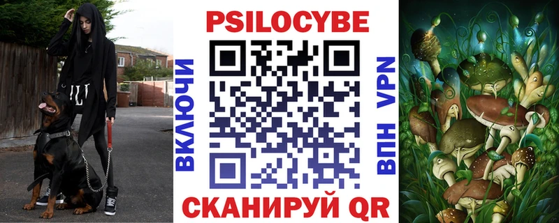 Галлюциногенные грибы Cubensis  где купить наркоту  Грозный 